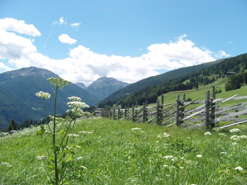 Westblick