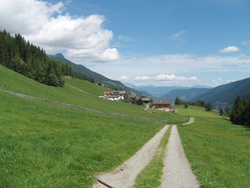 Wiesen mit Weg