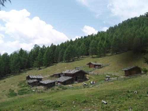 Kaserfeld-Alm