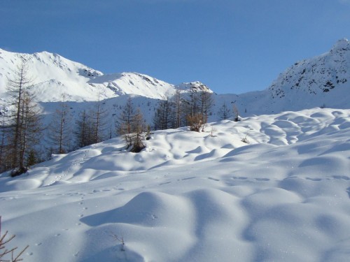 Verschneiter Berghang